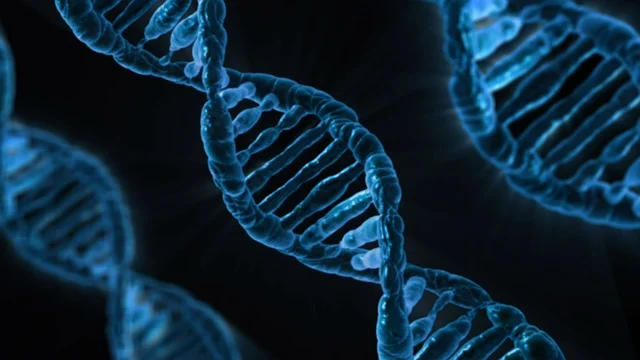 開發(fā)用于高性能熱塑性聚氨酯彈性體（TPU）的高分子量聚醚多元醇